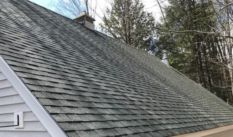 Roof Washing Service