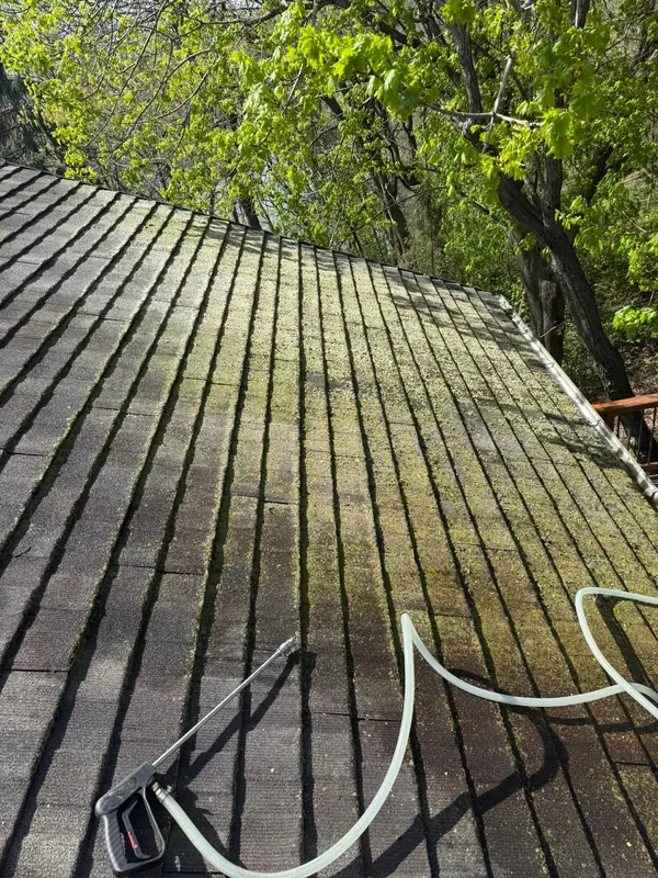 Moss-covered roof shingles