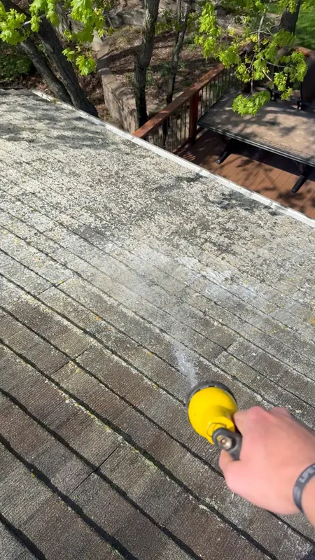 Washing algae from a shingle roof