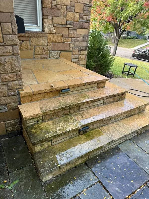 Stone steps, before cleaning